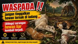 Ulasan Redaksi : Serangan kepada Hewan Ternak (KEMBALI) Terjadi. Belum Ada Kepastian Penyebabnya.